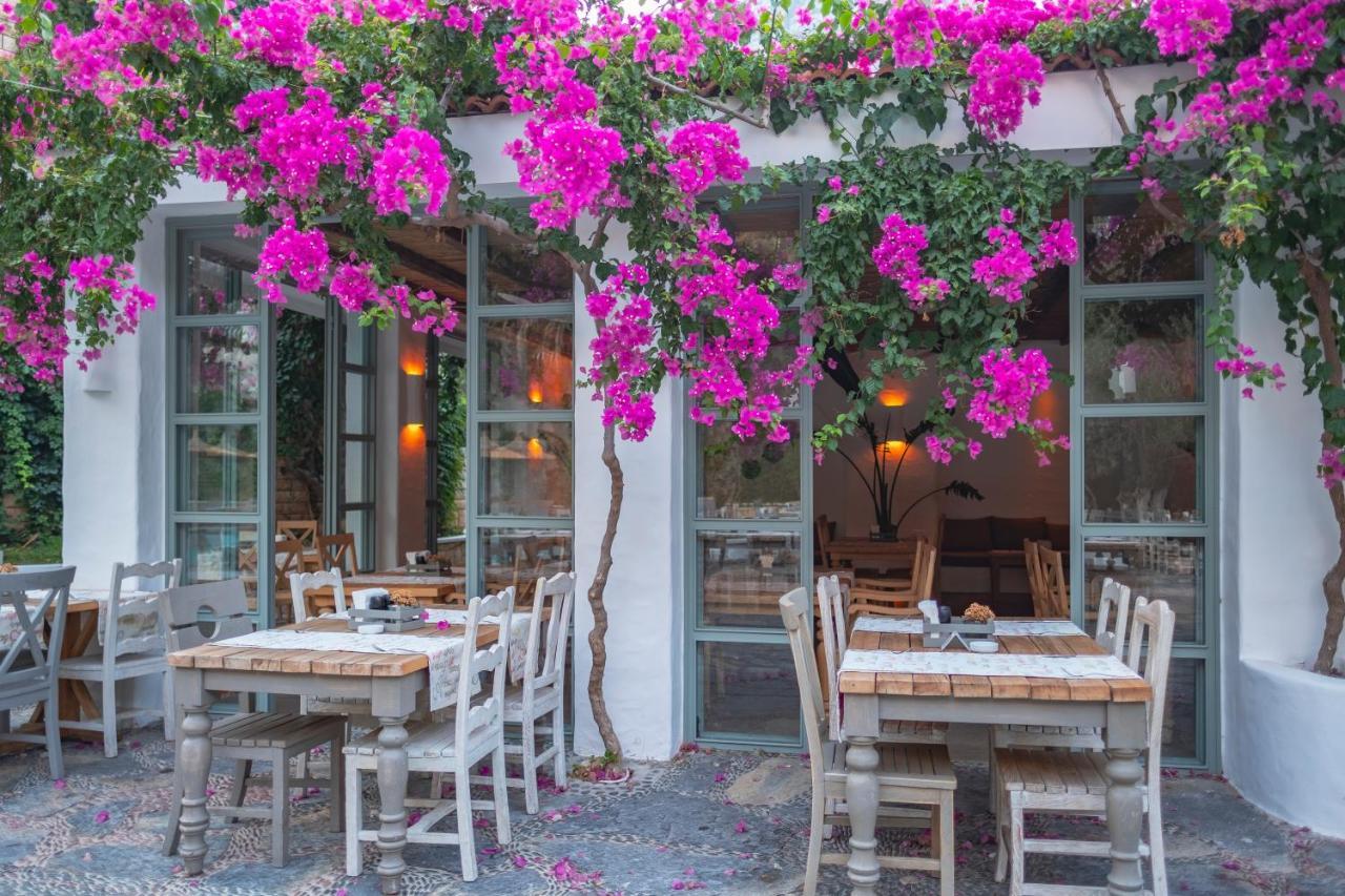 Flamingo Hotel & Spa - Pet Friendly Oludeniz Kültér fotó